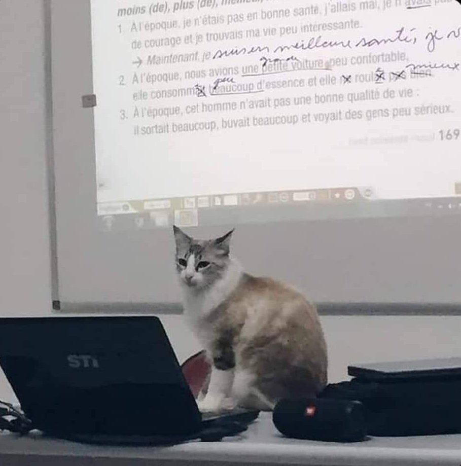 bichinho inflávio (@Sukxban) / X