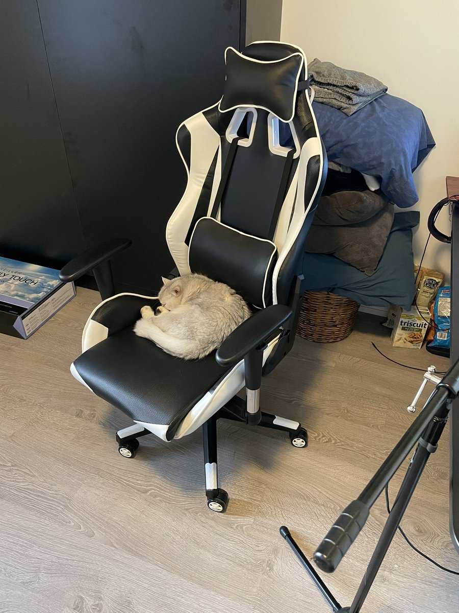 TEDDOPLZ's tweet photo. She stole my spot :( https://t.co/3AlOkHXKFt