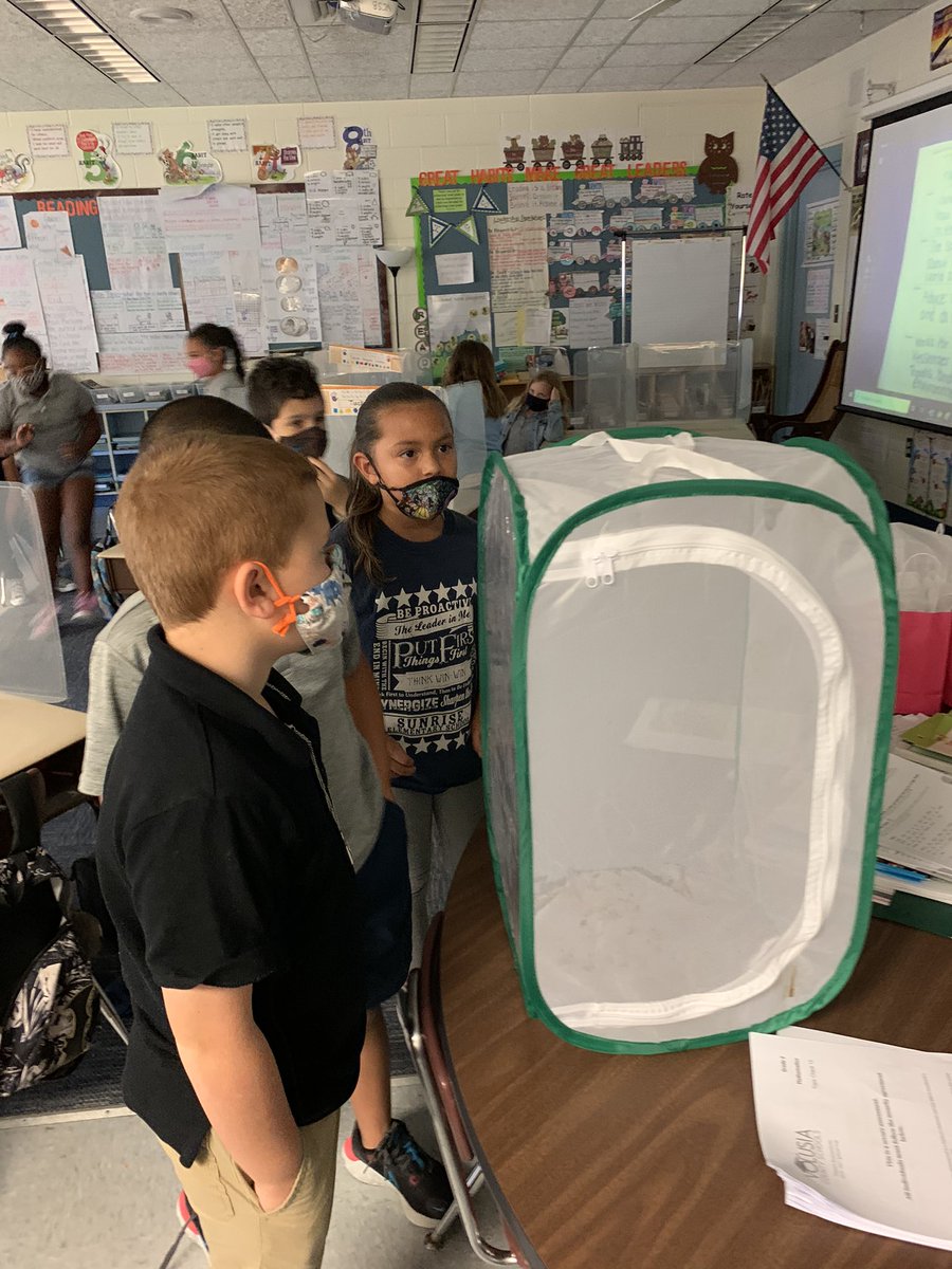MrsKTreadaway's tweet photo. Celebrated Earth Day with our 2nd graders by releasing a butterfly!  Ss made observations of stages of the butterfly life cycle.  This tied in perfectly w/ our living things unit in Science!  @Sunrisevcs @KaniaKristina @littlestars1227 @cmengstr820 @teacher_mama20 @BachmanZoe https://t.co/dA1I84wzqi