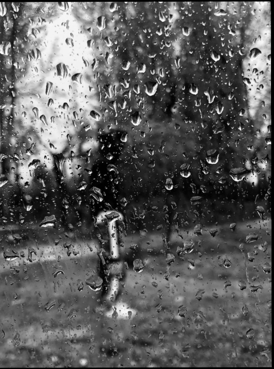 uzairshowkat's tweet photo. #nature #photography #naturephotography #love #photooftheday #travel #instagood #beautiful #art #picoftheday #photo #rainyday #like #landscape #follow #naturelovers #happy #style #life #instadaily #fashion #beauty #smile #ig #travelphotography #photographer #sunset #myself #bhfyp https://t.co/AMWiIRhg7i