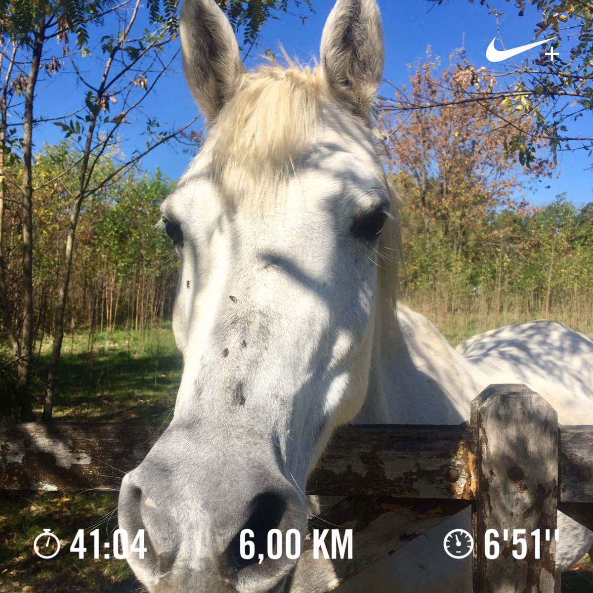 AlohaPiT's tweet photo. 🏃🏻♀️ un poco más despacio
#correr #rumning https://t.co/ZNiKVEYRAN