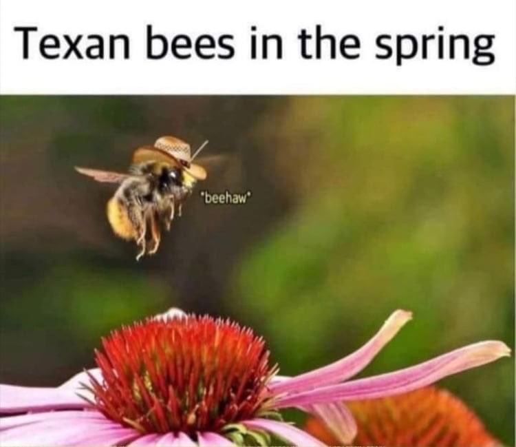 kimkennedyphd's tweet photo. It’s 🌏Earth Day, y’all! Native pollinator garden happening thanks to funding from Microsoft &amp; @ChangexHQ support! 🐝 Bee-haw! 
🦋🐛🐞🌸🌻
#EarthDay2021 #EarthDay #MicrosoftCommunityChallenge #ThrivingCommunities #MicrosoftDCCD #BilingualEducation #duallanguage #spanishimmersion https://t.co/ENmr8MGBJ3