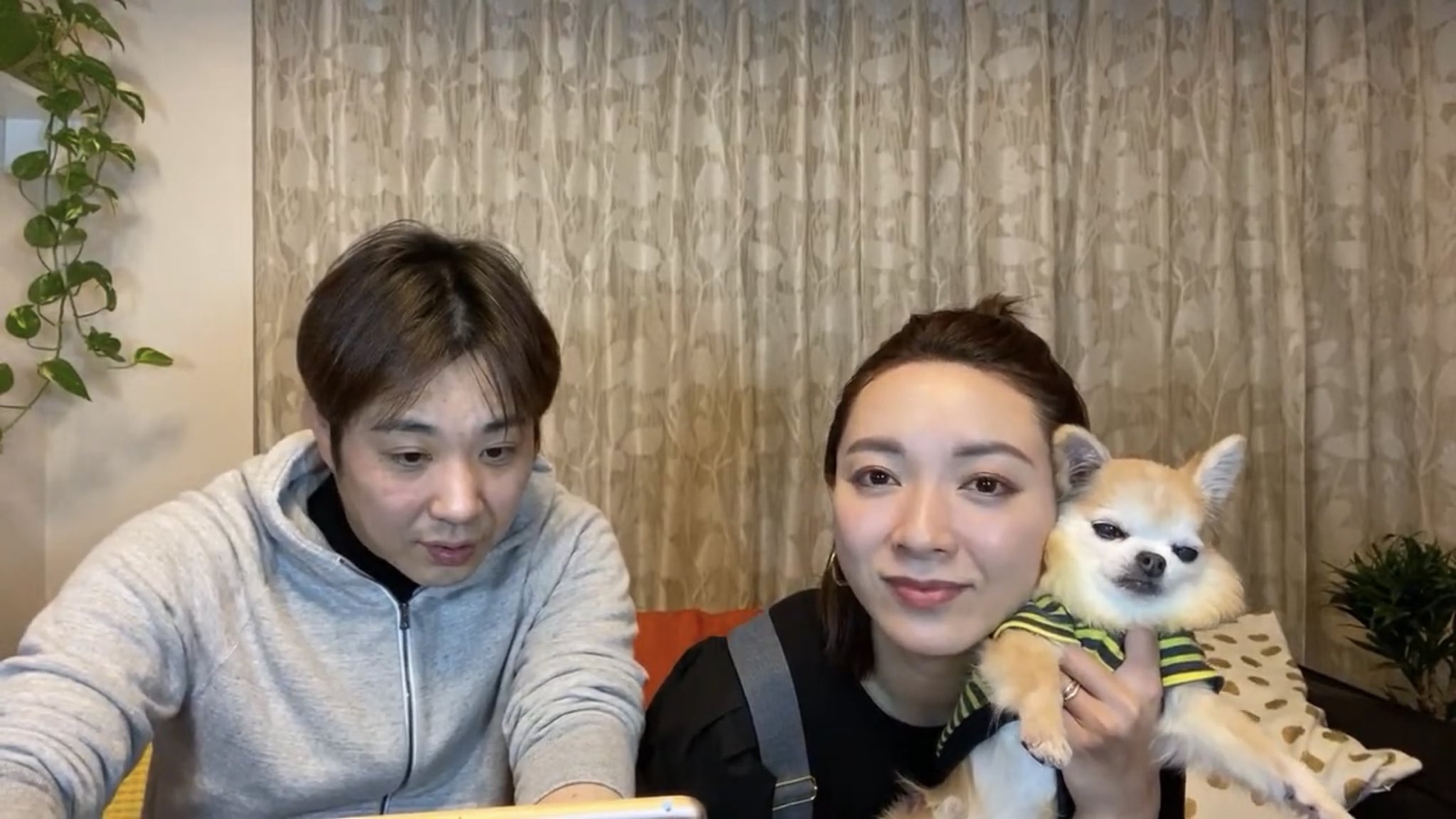 いろもん キャロルママン ライセンス藤原さんがyoutubeで配信してる フジワランド の生配信にちょいちょい登場してる愛犬のジョビちゃんが2年前に虹の橋を渡った ショコラに似てて 出てきてくれるとショコラがいてくれてるみたいで嬉しくなる ジョビ いろもん キャロルママン ライセンス藤原さんがyoutubeで配信してる フジワランド の生配信にちょいちょい登場してる愛犬のジョビちゃんが2年前に虹の橋を渡った ショコラに似てて 出てきてくれるとショコラがいてくれてるみたいで嬉しくなる ジョビ