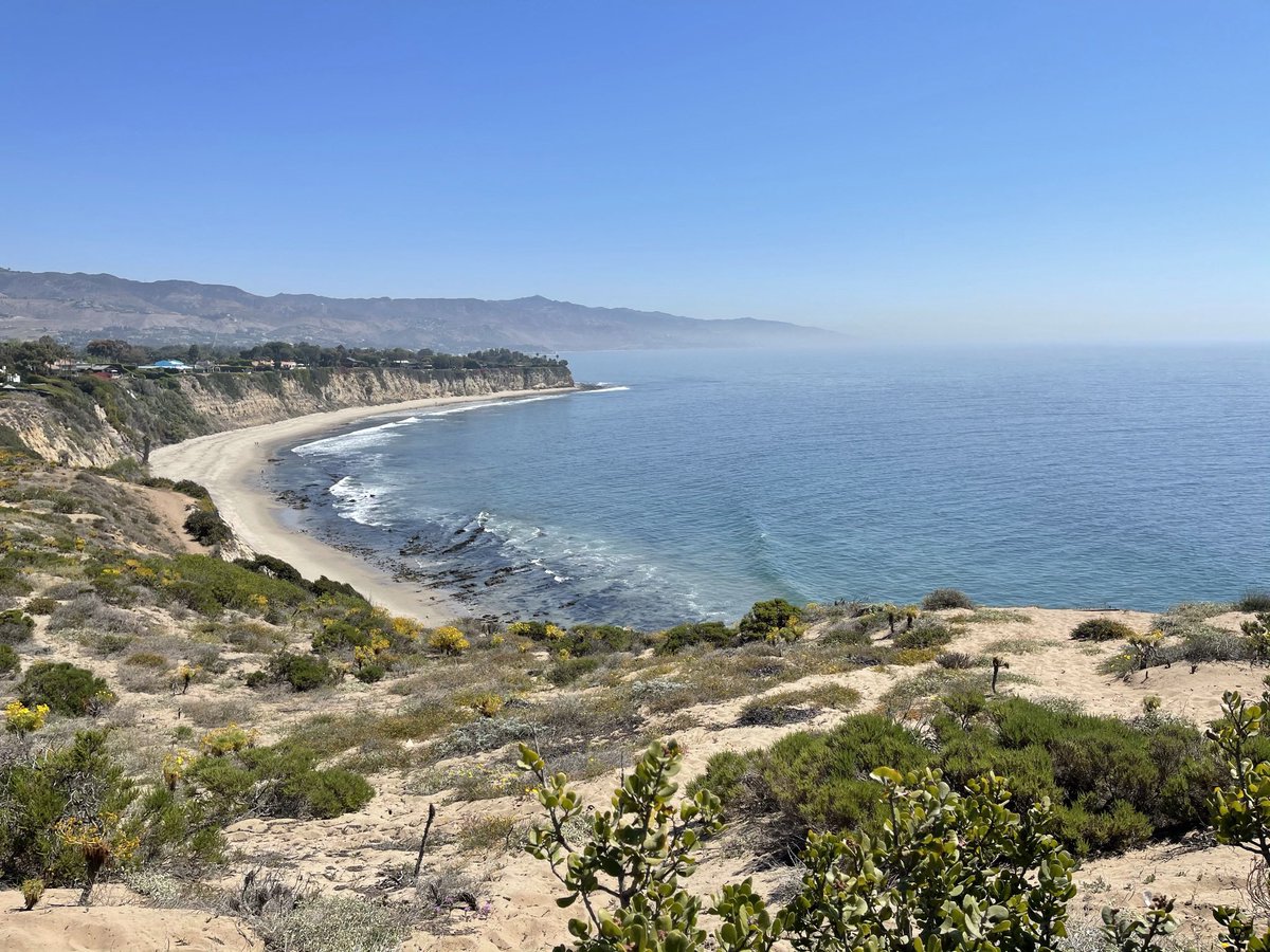 Jo Ling Kent Jolingkent Twitter