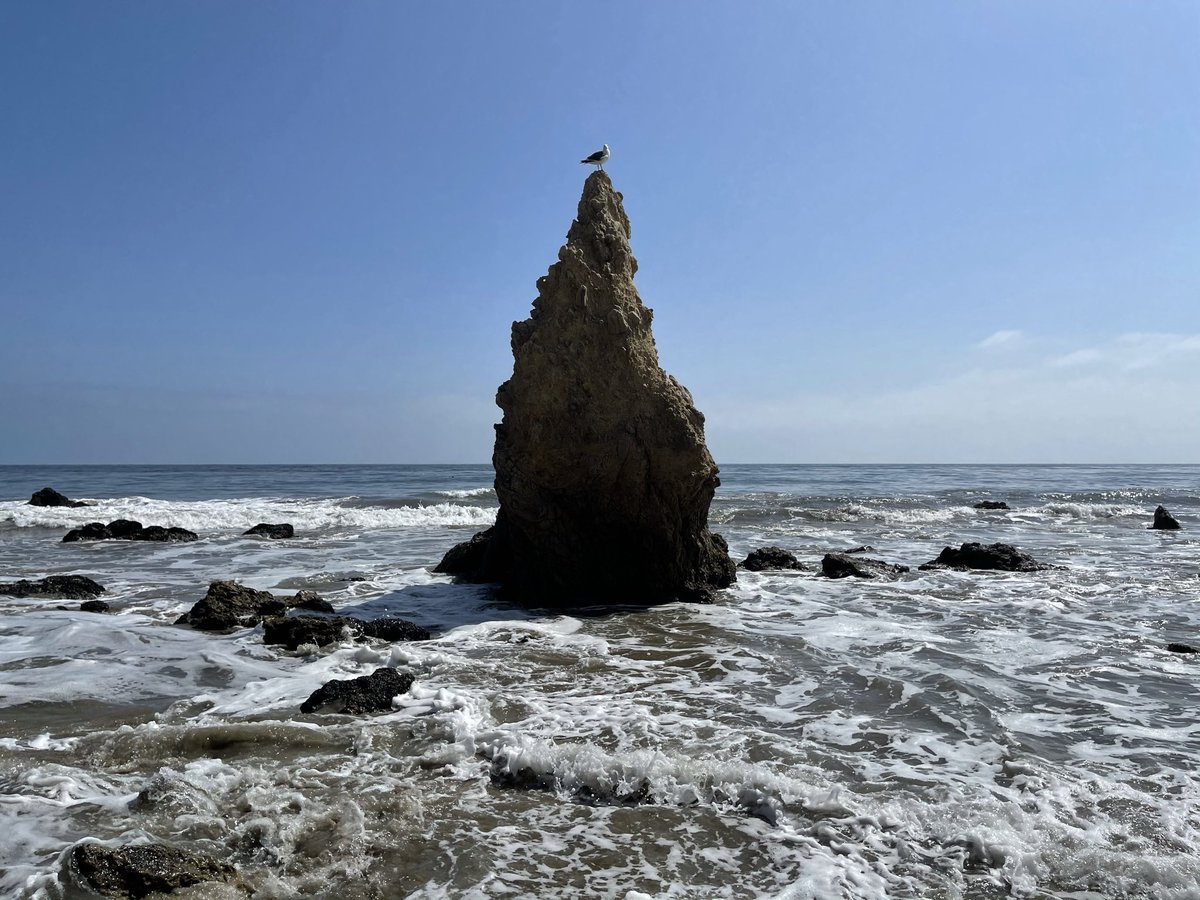 Jo Ling Kent Jolingkent Twitter