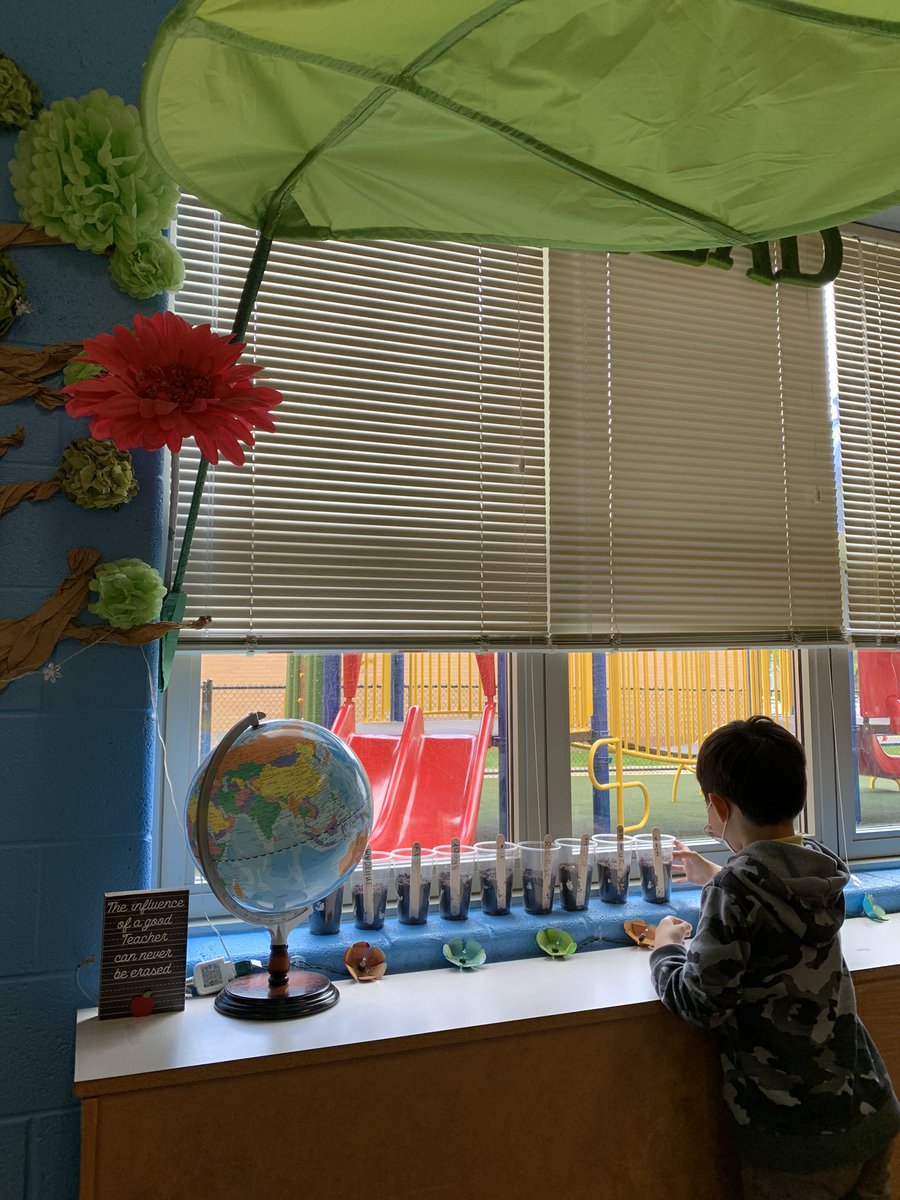 GreeneKinderGARDEN tweet media