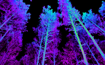 We hope you enjoy these digital trees we measured. Happy earth day everyone!