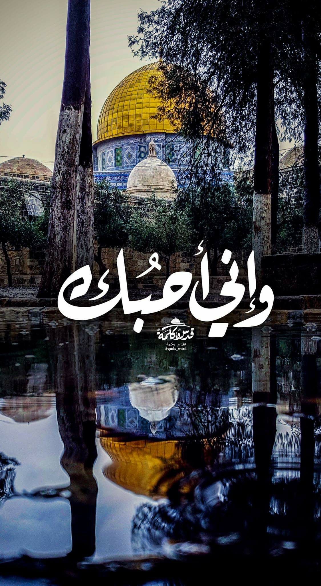 Stay Safe متعب بعروبتي HKJ🇯🇴🇰🇼🇵🇸 on Twitter: "دعاء في هذة الأيام المباركة اللهم حرر المسجد الأقصى من براثن الصهاينة الغاصبين وارزقنا صلاة فيه قبل الممات اللهم احفظ المسجد الأقصى واجعله شامخا عزيزا