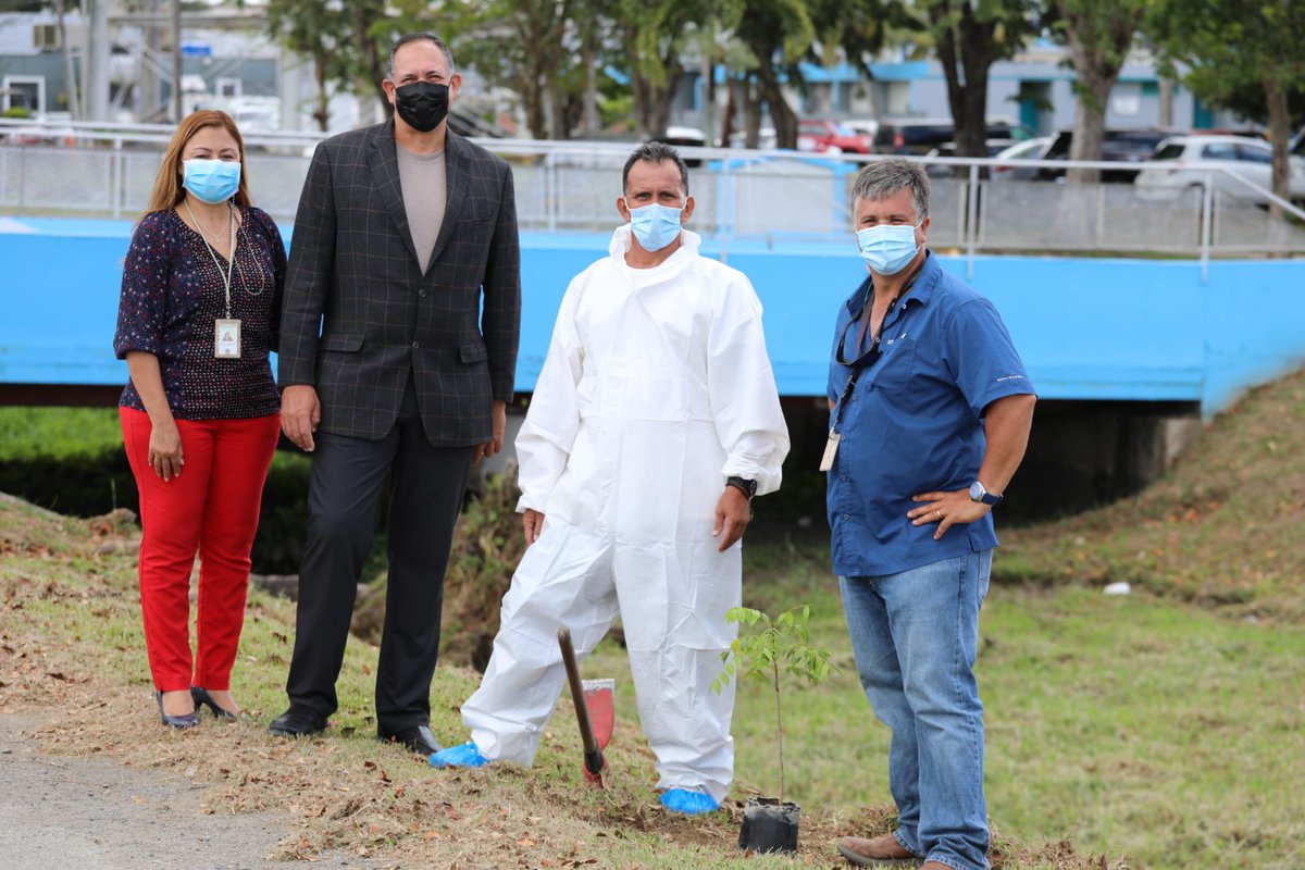 En el DCR, nos unimos a la celebración del Día del Planeta Tierra. Hoy el agrónomo Mariano Ramis junto a un confinado plantaron un árbol de María en el Centro de Detencion de Bayamón 1072.