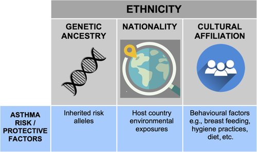 RespirologyAPSR's tweet photo. Is ethnicity a ‘treatable trait’ in #asthma? An expert view with free access https://t.co/D8AJDWyzXF https://t.co/Q4rxj7LxDB