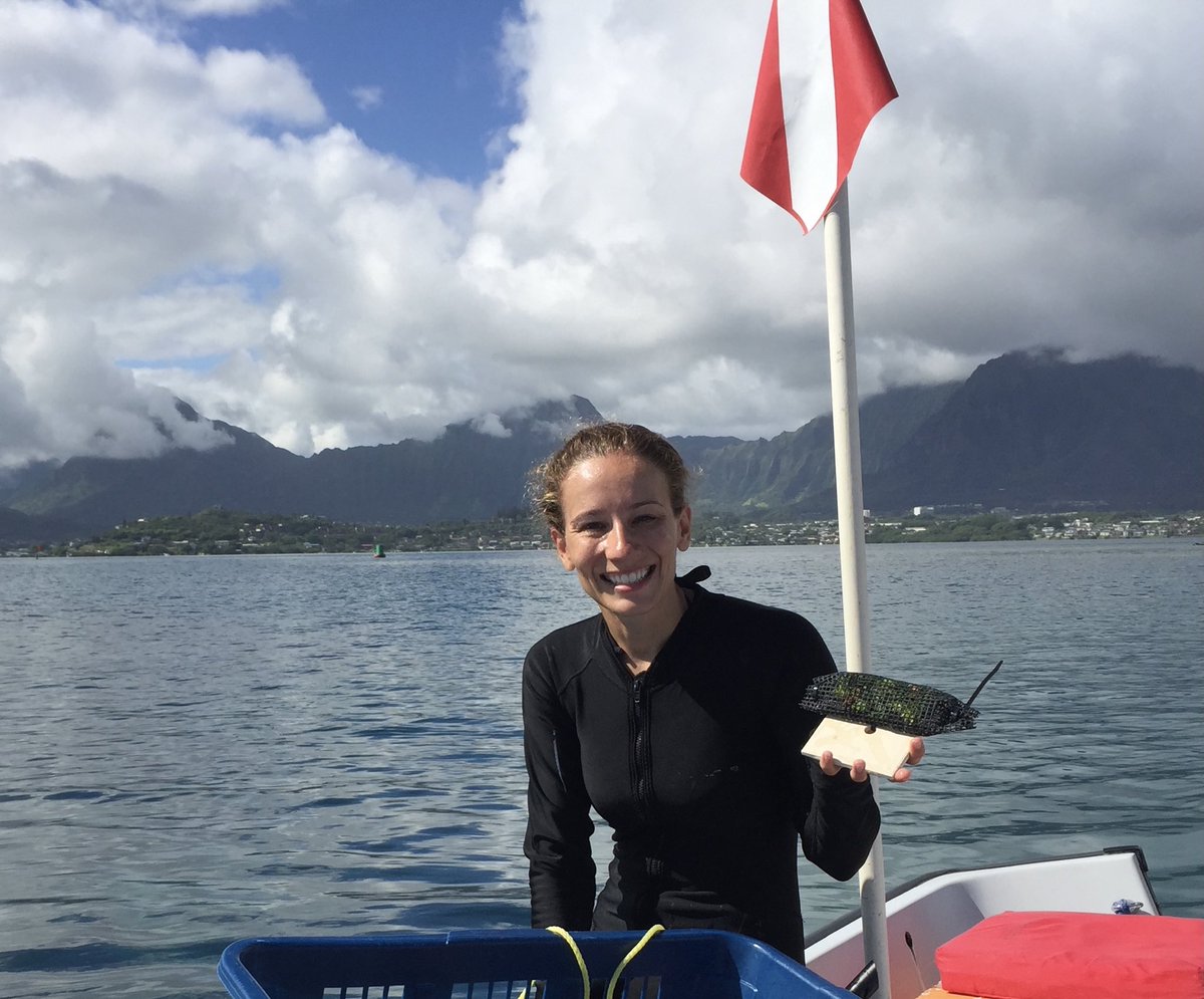 mwestneat's tweet photo. Congratulations to Meg Malone @MarineBioMeg on her successful PhD defense yesterday! “Fear and Foraging on the Coral Reef”
Starring quite a few #wrasses
Great work and happy #EarthDay https://t.co/BAKvR4PY2Q