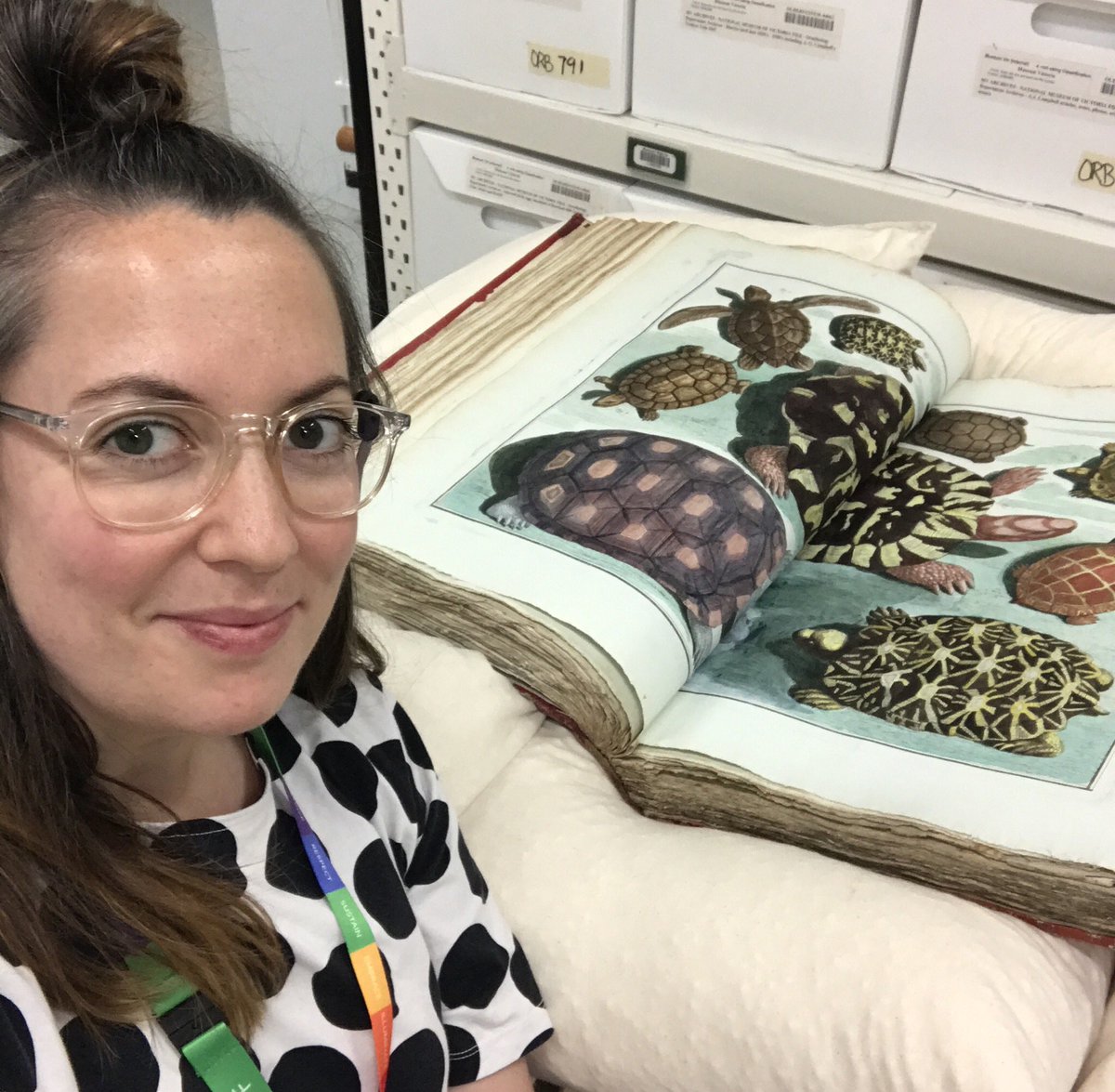 Melbourne Museum tweet media