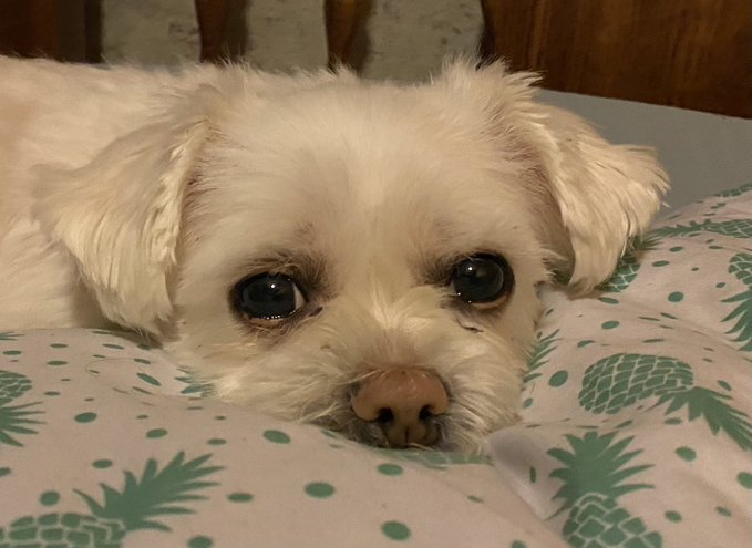 me watching my fav show ends #fanfiction