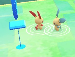 ポケモンgo マイナンの入手方法 能力 技まとめ 攻略大百科 ポケモンgo マイナンの入手方法 能力 技まとめ 攻略大百科