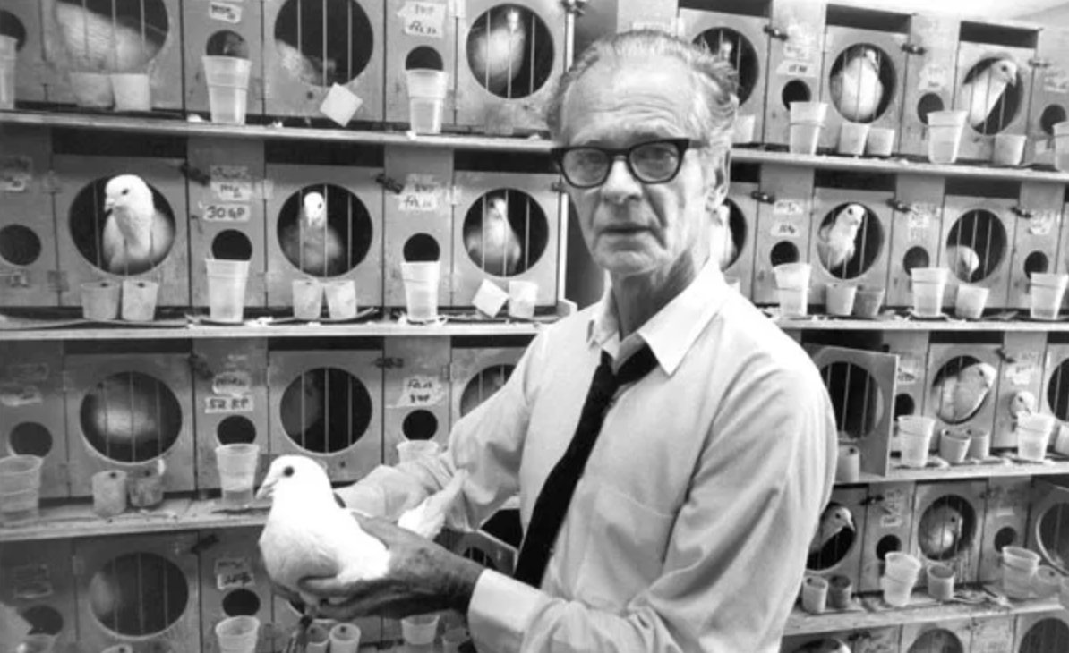 An interesting - but often underappreciated - aspect of B.F. Skinner's work was its idealistic undertones. He saw psychology as a "technology of behavior" that could re-engineer society in service of social justice & well-being. A ...1/7