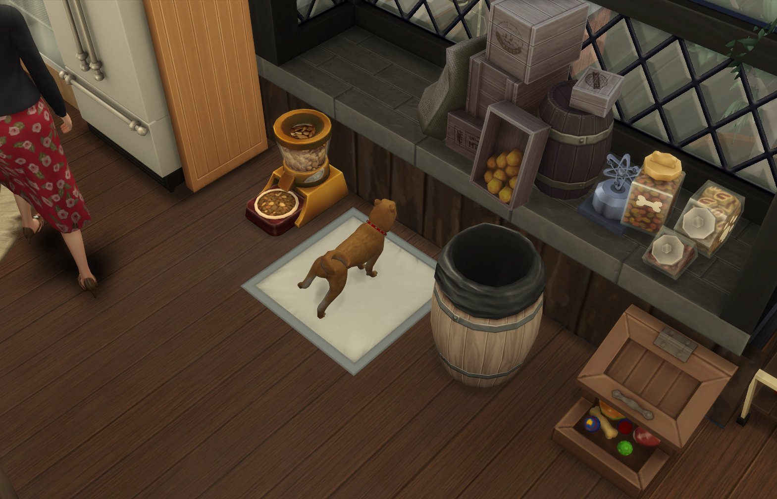 Maru シムズ4 Mod Ravasheen様の犬用室内トイレmodが公開されています 特にアパート区画などではバグでペットが外に出られないことも多いようなので助かると思います T Co Naundl2sqa T Co 2mogsmpo9s Twitter Maru シムズ4 Mod Ravasheen様の犬用室内トイレmodが公開されています 特にアパート区画などではバグでペットが外に出られないことも多いようなので助かると思います T Co Naundl2sqa T Co 2mogsmpo9s Twitter