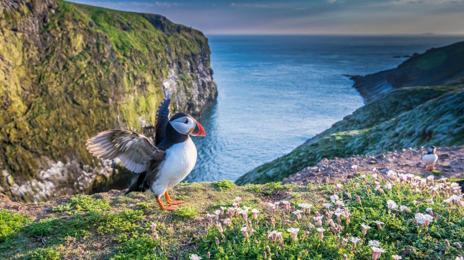 Come and talk to us about applying for a grant of £50,000 to £500,000 from the Nature Networks Fund on 27 and 28 April heritagefund.org.uk/funding/nature…