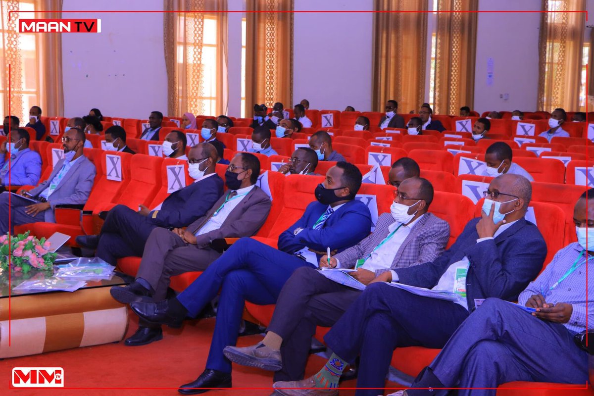 Horn Finance Initiative tweet media