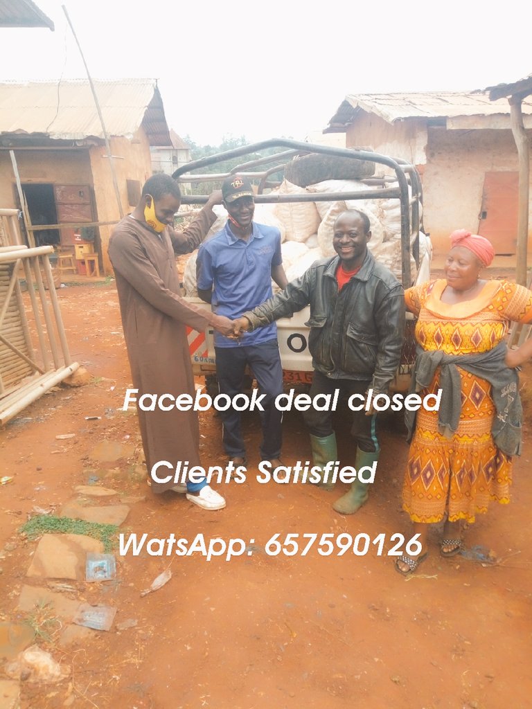 ENdumcha's tweet photo. Irish Seed potato for sale in much quantity at Bangou, Bafoussam. (Semences de pomme de terre en vente)
Variety: Dorsa, deux season.

Livraison partout ou Cameroon ou frais du client
WhatsApp:657590126
@FAOCameroun
@BASFAgro https://t.co/F7f1k7n6mS