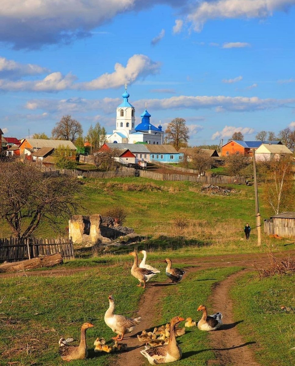 Новопокровское тульская