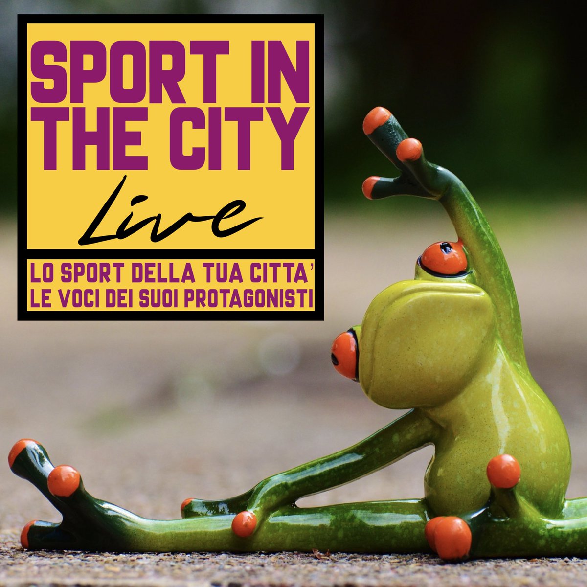 Sport in the City tweet media