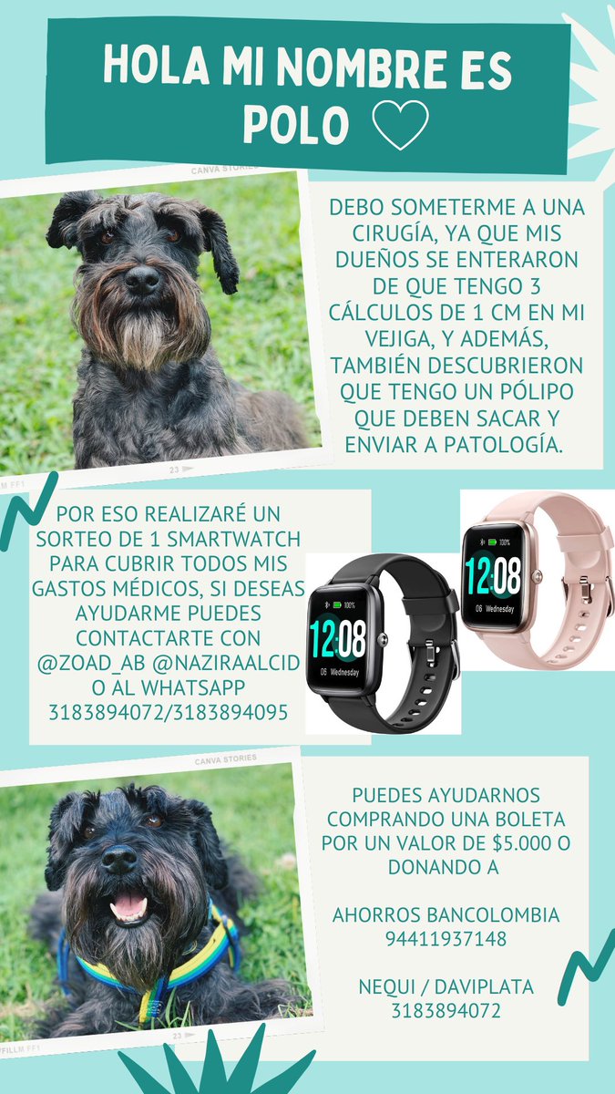 N_a_B07's tweet photo. @LAAZCARATE #AyudemosAPolito https://t.co/8byYjzquCs