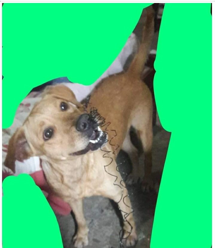 AlertaMePerdi's tweet photo. #PERDIDA #GUAYAQUIL
Nombre: #TAFFI
Fecha: 16/04/21
Sector: Sur, Coop. Casitas del Guasmo frente al parque frente a la escuela Nelson Mateus Macias.
Sexo: Hembra.
Raza: Mestiza.
Obsv.: Color caramelo, ojos miel, tamaño mediano.
Contacto: 0978814988 (WS)
#AlertaMePerdí https://t.co/1F5cPqpVsK