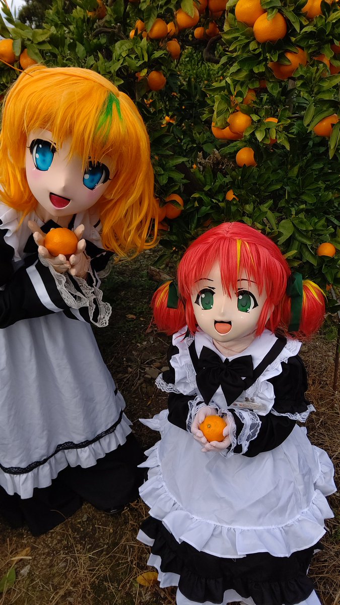 waffrumusume's tweet photo. #ド直球に言いますがフォローしてください

和歌山の魅力をお伝えするべく日々奮闘しております😆👍️❤️ https://t.co/h06skPU6qh