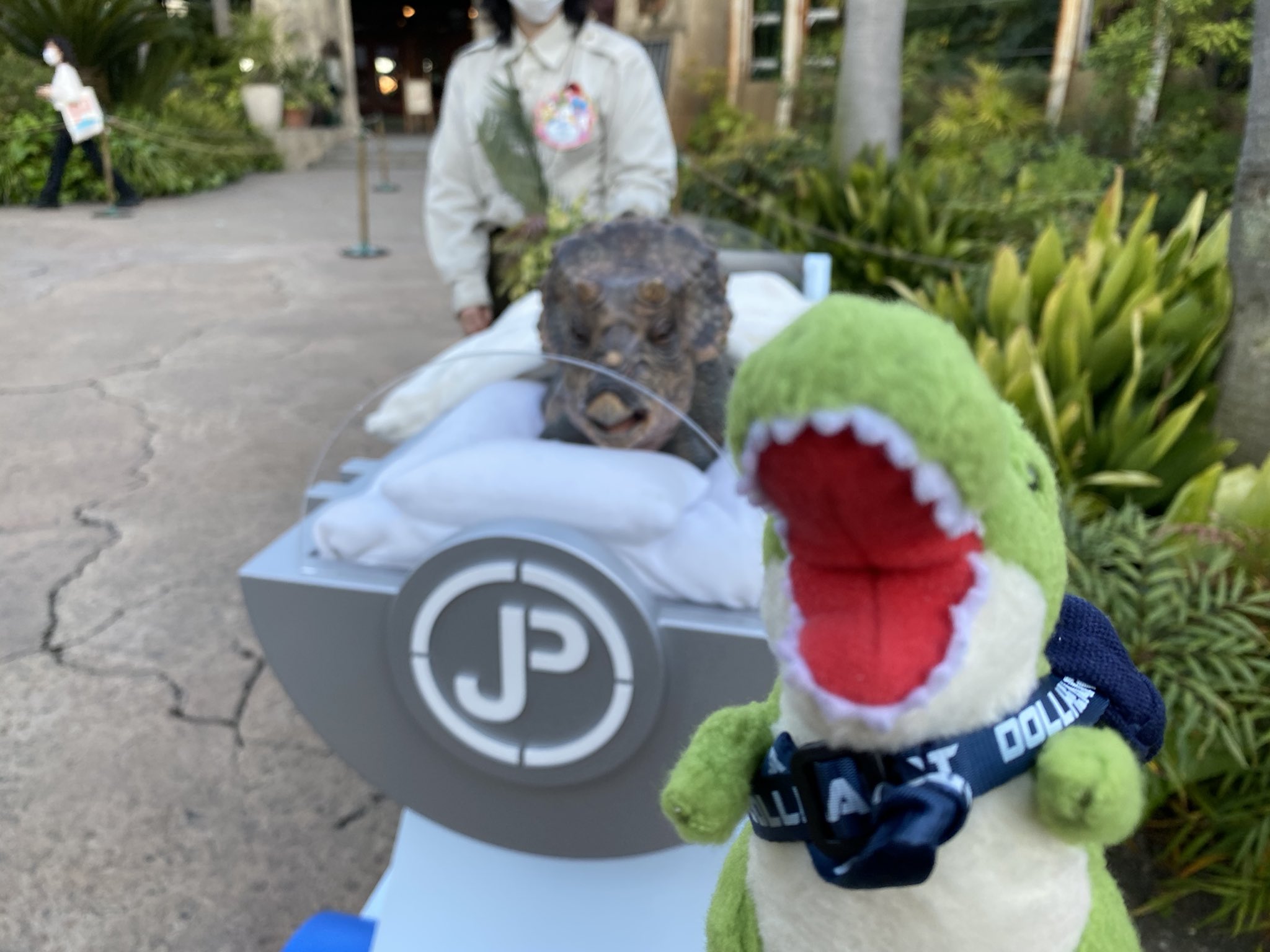 トムと旅する恐竜 トリケラトプスの赤ちゃんに会ってきました 久しぶりだね お散歩恐竜 旅する恐竜 Amufun アミュキャラぬい撮り ティラノサウルス トリケラトプス Usj ユニバ ユニバーサルスタジオジャパン Usjファン マイ フレンド