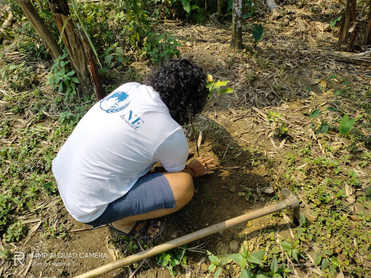 EmergencyNature's tweet photo. Earth day 2021 with a vision "Restore Our Earth" 
NE Foundation's this year vision for planting 1 million local trees for nature &amp; other species in Climate Action project.
N:B:- Plant a local tree &amp; send your pics to our inbox.
 🌱☘️🍀🌿🍃🍂🌏
#EarthDay https://t.co/uSuAzkYkXI