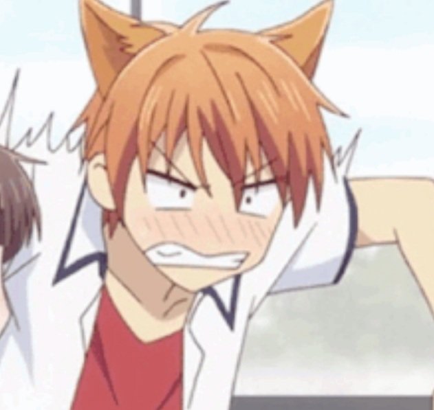 Fruits Basket Kyo Cat Ears
