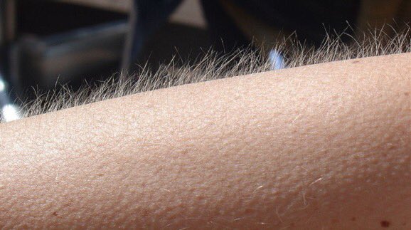 fiIhodoscarters's tweet photo. MDS, VEM AÍ VIIH TUBE NO PAREDÃO 🅰️🅰️🅰️🅰️🅰️🅰️🅰️🅰️🅰️

FAVELAAAAAAAAAAA 🗣️🗣️🗣️🗣️🗣️🗣️🗣️🗣️🗣️

#BBB21 #ProvaDoLider João https://t.co/r3xRjTr3LW