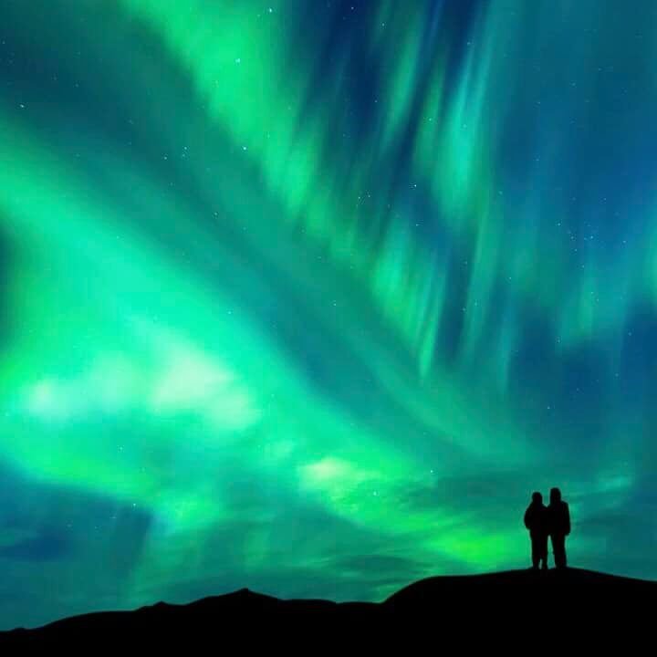Exulansista's tweet photo. Necesito ir a ver esto con mi persona favorita. https://t.co/rpskZa3Omu