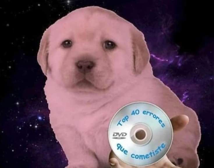 *Yo intentando dormir*

Mi mente: