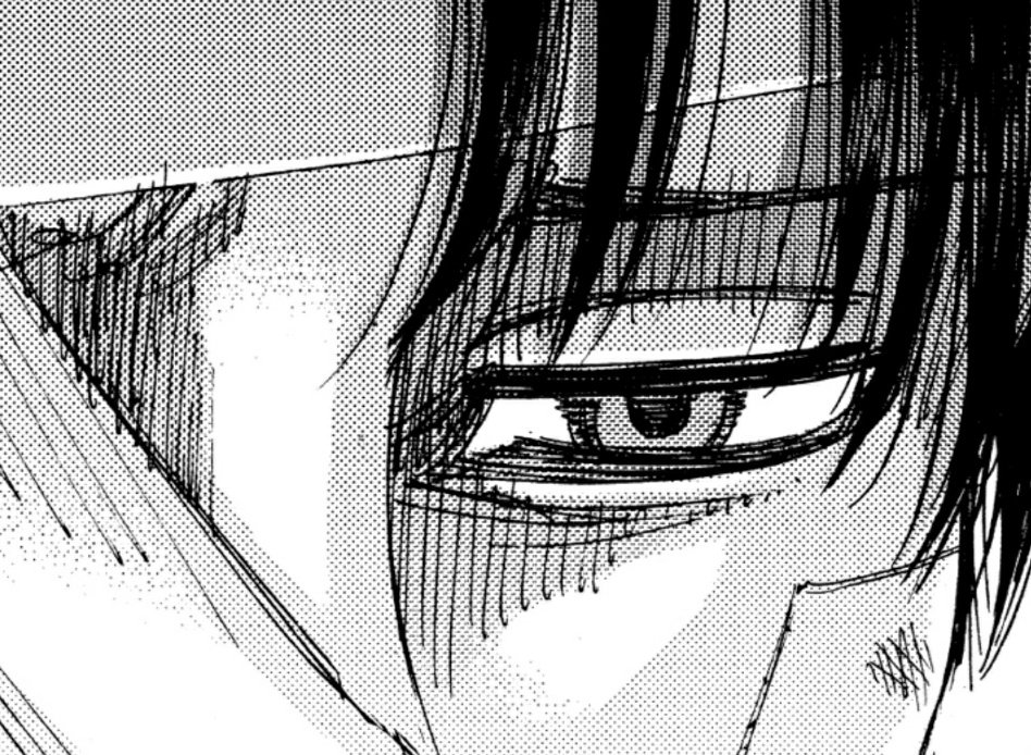 the amount of emotions their eyes had shown. no more words were needed. whatever it was that levi wanted to tell hanji, it surely reached them.