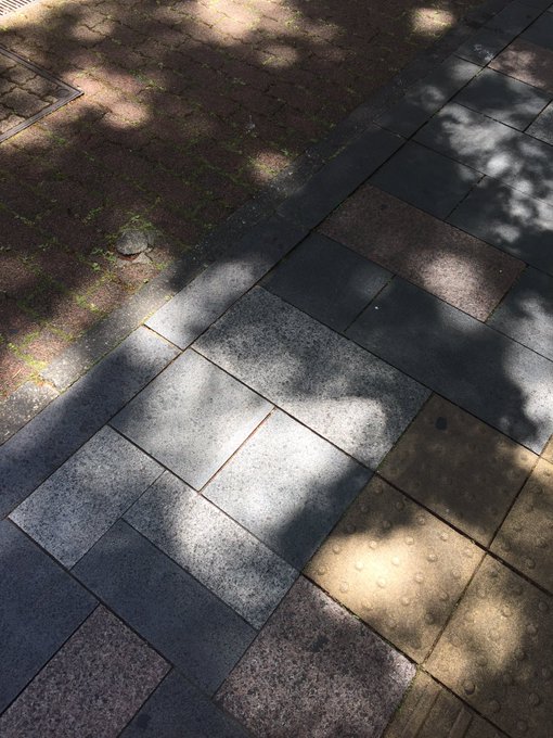 垣根のtwitterイラスト検索結果 古い順