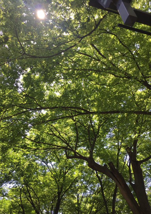 垣根のtwitterイラスト検索結果 古い順