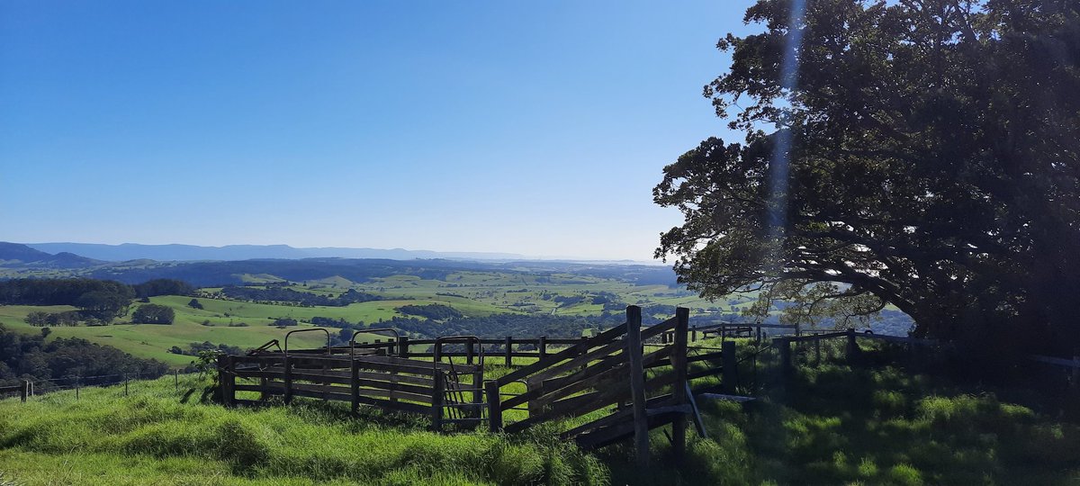 RobThomson2528's tweet photo. Out and about around Jamberoo NSW exploring with my Dad. #countrydrive #exploringourbackyard #illawarra #jamberoo https://t.co/UpQvESgqt1