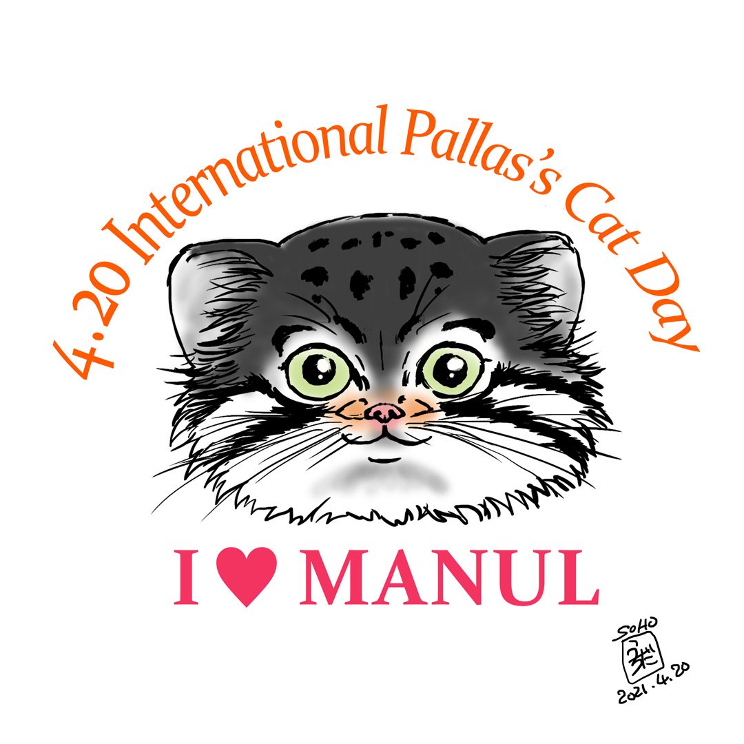 モフリシャス タヌーン 今日は国際マヌルネコの日 世界の中心で マヌルが好きじゃ と叫びたい マヌルネコの日 マヌルネコ Pallascat Manul 猫イラスト