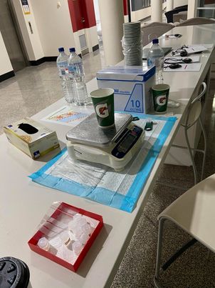 Alannah McKay tweet media