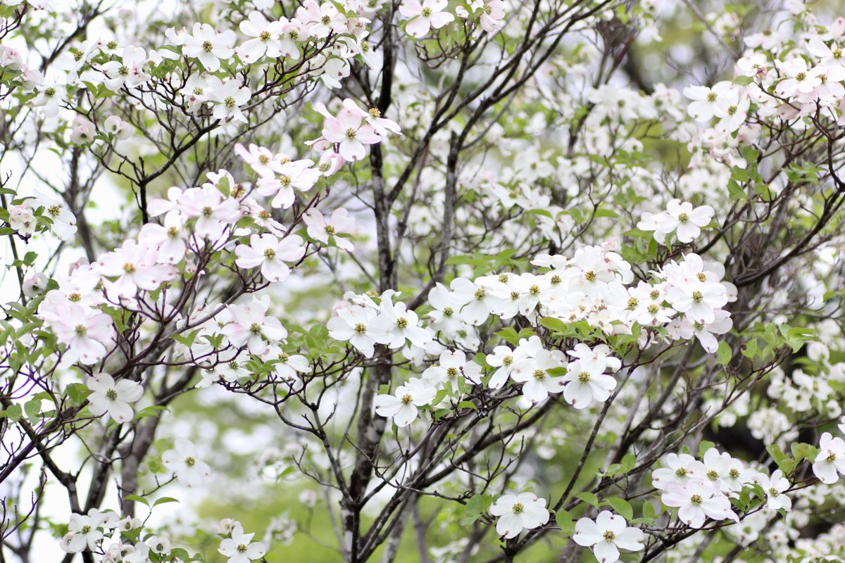 Marilyn Jones Travelmarilyn Twitter