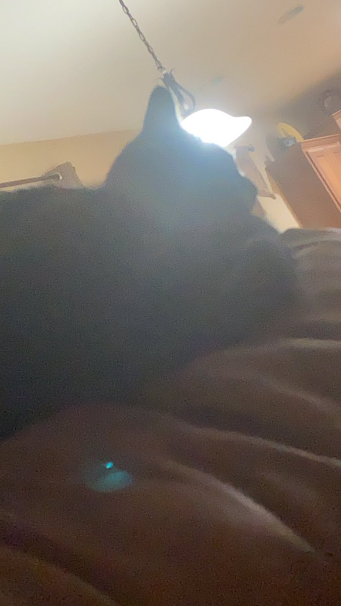baileeivor's tweet photo. We stan this boy in this house https://t.co/5ByVclmKQN