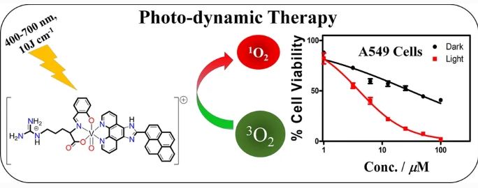 Kausar_Chem's tweet photo. Happy to share my latest collaborative work "Photochemical and photocytotoxic evaluation of new Oxovanadium (IV) complexes in photodynamic application" published in @JChemSci 
#MetalsinMedicine #PhotodynamicTherapy  #Vanadium #Bioinorganic https://t.co/QwLkNhZZpV