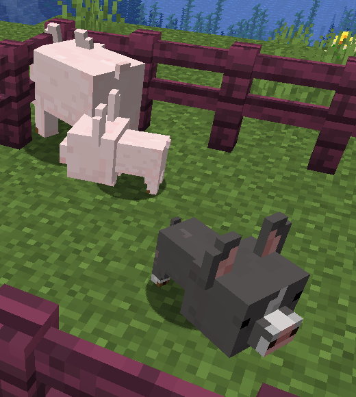 Messron Et Cross Renewed Animalのミスを6 1で修正 仔馬の体が宙に浮いていた問題 豚 のランダムテクスチャ非対応を直しました それと 黒豚や茶色のニワトリなどランダムエンティティ自体を読み込まない場合 F3とtキーの同時押しでリソパをリロードして