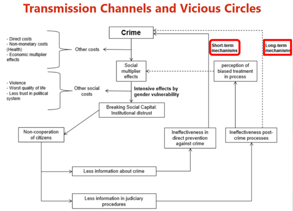 Loss of trust generates vicious cycles of crime. Citizens do not cooperate with institutions, they share less information, and these institutions' work becomes inefficient. Consequently, the fight against crime becomes more difficult