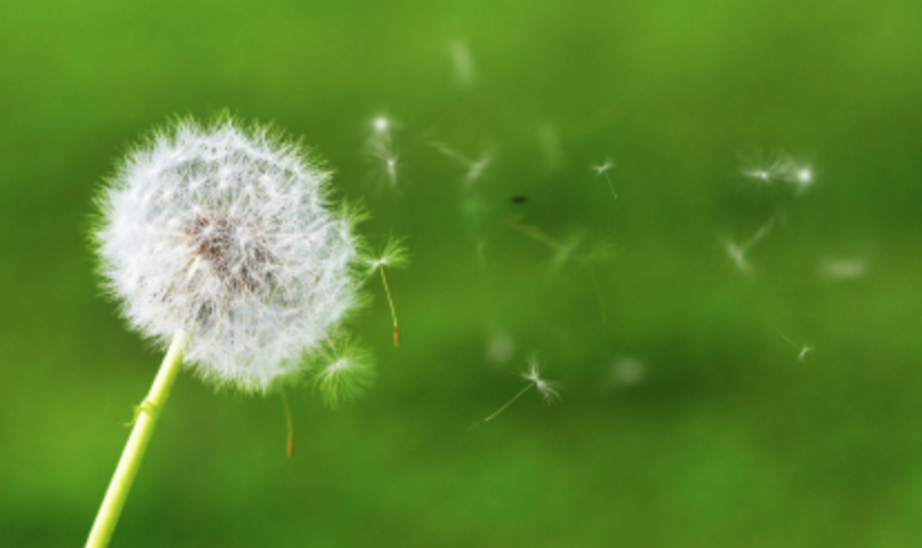 SarahM_nthc's tweet photo. A haiku for Earth Day:

The breeze fresh and crisp.
All around us but we watch
As beauty disappears.

@DigitalZruiz @Bence_EDU #NTHCvoice #EarthDay2021 https://t.co/iexOjrzWLQ