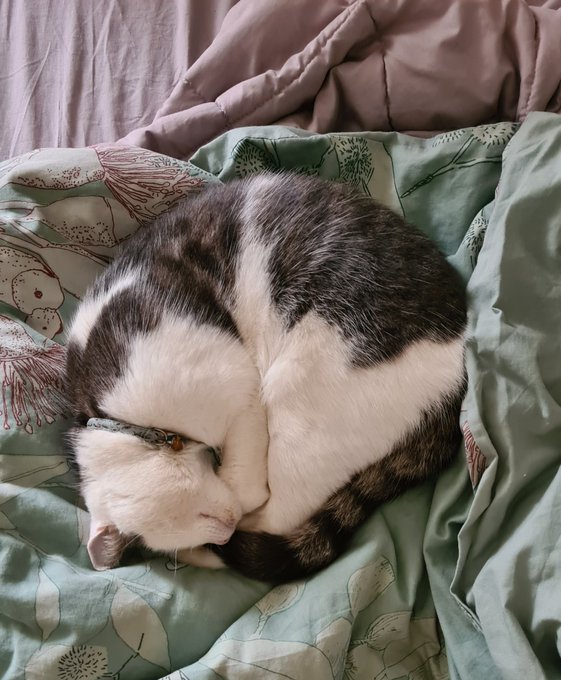Sleepy baby boy https://t.co/7izIsBxqiQ