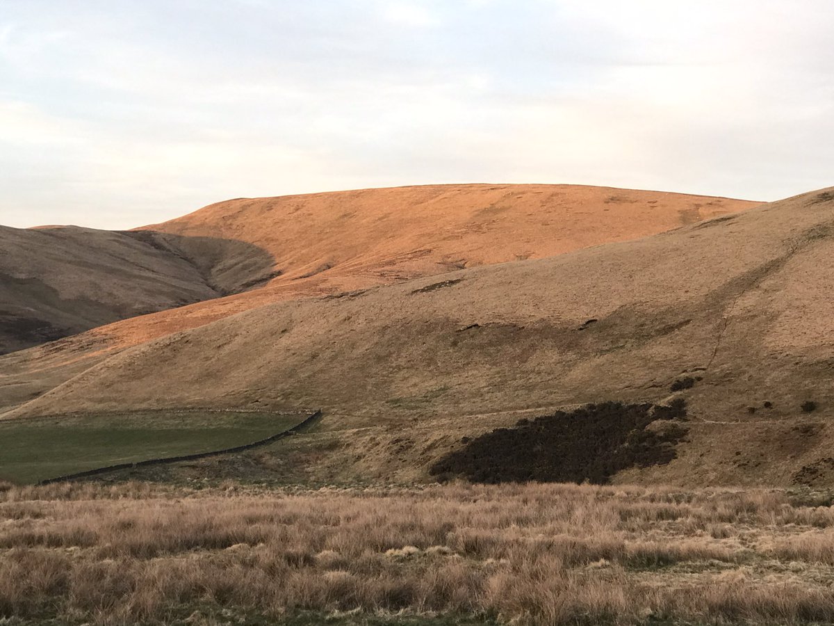 reizkultur's tweet image. 1st cycling the ‘Thieves Road’ between West Lothian &amp;amp; Little Vantage - a fab crossing of the Pentland Hills from south to north. The last, and most challenging section, is part of the Edinburgh Boundary route. It’s in the best condition to cycle just now. komoot.com/tour/352553473…