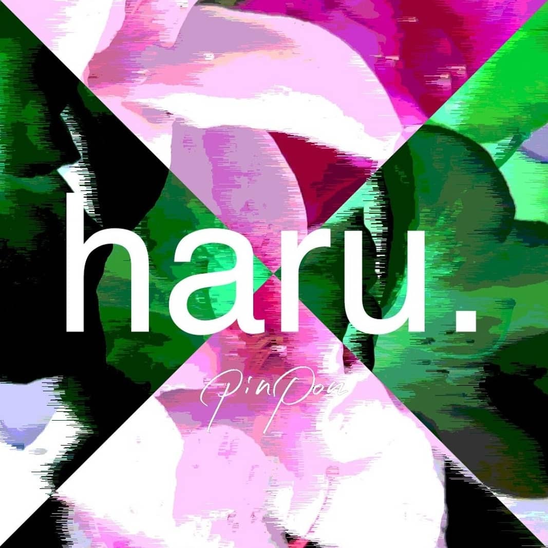 pinponstore's tweet photo. PINPONSTOREのポップアップ
" haru. "オープンしました。
皆さまのご来店お待ちしております。

【日時】
4/23-25 
11:00-18:30 (土日は延長予定)

【場所】
東京都杉並区高円寺北2-22-2 1F
(高円寺駅から徒歩2分)
(高円寺のオリンピックのすぐ近くにございます) https://t.co/r9IuSDKIRB