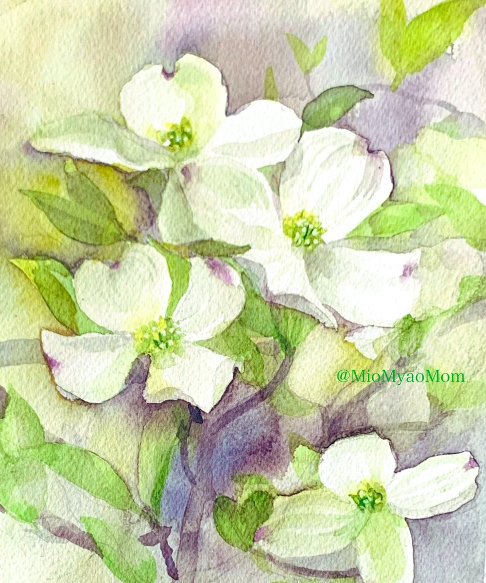 Twoucan 花水木 の注目ツイート イラスト マンガ